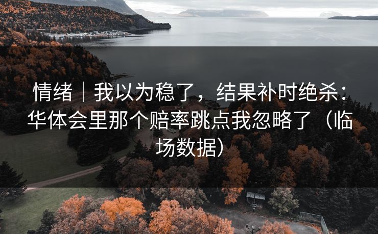 情绪｜我以为稳了，结果补时绝杀：华体会里那个赔率跳点我忽略了（临场数据）