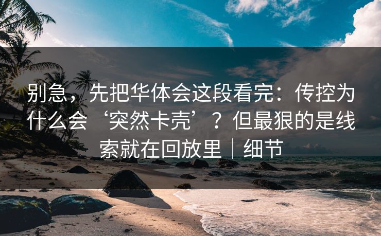 别急，先把华体会这段看完：传控为什么会‘突然卡壳’？但最狠的是线索就在回放里｜细节