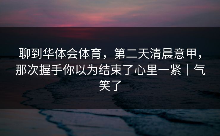 聊到华体会体育，第二天清晨意甲，那次握手你以为结束了心里一紧｜气笑了